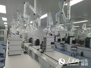 山東羅欣制藥 以創(chuàng)新為翼，打破國外壟斷，引領(lǐng)醫(yī)藥研發(fā)與國際水平同步前行